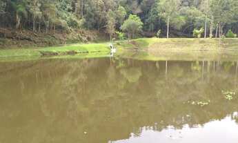 Imagem 4: Fazenda Produtiva, no Bairro do Araçoeiro Guapiara SP