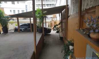 Imagem 5: CASA TÉRREA - VILA MASCOTE - SP