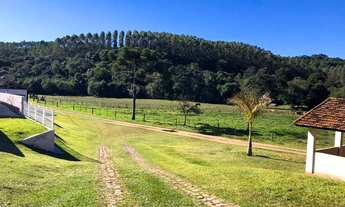 Imagem: FAZENDA PRODUTIVA, localizada em Capão
