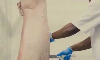 Imagem 7: Frigorifico de Suínos + Salsicharia + Residência + Área rural