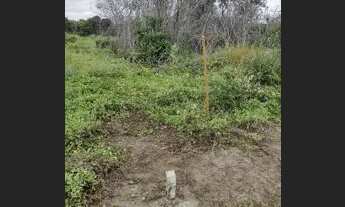 Imagem 2: Lote a venda na barra da sucatinga