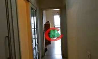 Imagem 7: Apartamento com 03 quartos e 01 suíte - Edifício Giovana