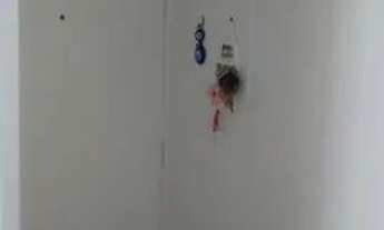 Imagem 6: APARTAMENTO - PLANALTO PAULISTA - SP