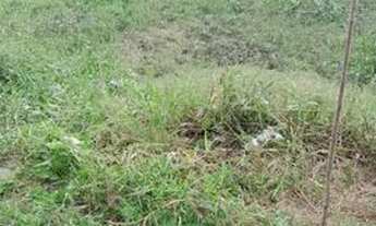 Imagem: Vende-se terreno