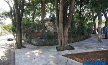 Imagem 6: CASA TÉRREA - VILA MADALENA - SP