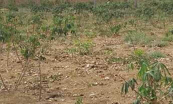 Imagem 6: Sítio em Rosário Oeste - MT