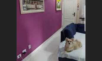 Imagem 7: APARTAMENTO - LIBERDADE - SP