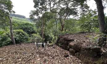 Imagem 7: Chácara Chácara com venda por R$300.000