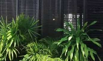 Imagem 3: Moura Gestor Imobiliario Aluga Uma Casa Mobiliada com 3x4 no Bairro Marco, Belém, Pará