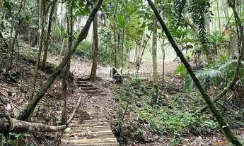 Imagem 4: Sítio Escriturado com 24.000 m², Casa Nova, Cachoeiras e Platôs - Alfredo Chaves/ES