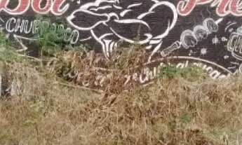 Imagem 3: Lote Plano e Murado - Augusta Mota / Major Prates - Montes Claros MG