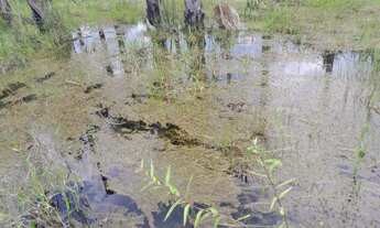 Imagem 2: Vendo terreno de chácara
