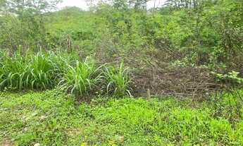 Imagem 2: Chacreamento Recanto dos Sonhos