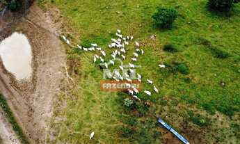 Imagem: Imóvel para venda tem 500 metros quadrados