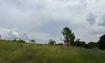 Imagem 5: Terreno barato com doc em dia e acesso bom