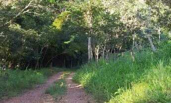 Imagem 2: Vende -se uma excelente chácara de 4/5 alqueires no município de Abadiânia