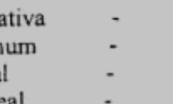 Imagem 2: Apartamento beira-mar Casa Bela início Pajuçara