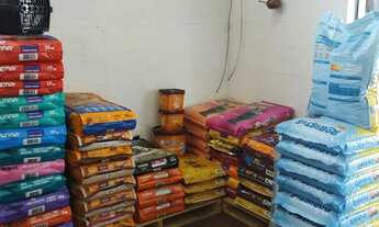 Imagem 3: Loja de produtos Pet