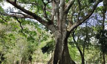 Imagem 6: Casa Em Guaramiranga locação Mensal