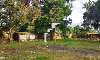 Imagem 8: Erreno na Zona Leste