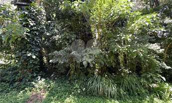 Imagem 7: Terreno à venda em Roseira - SP