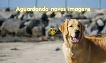 Imagem: Apartamento 1 Quarto para locação em Santos