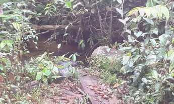 Imagem 4: Sítio 1.500 x 2.000 em estrada de Balbina 300.000