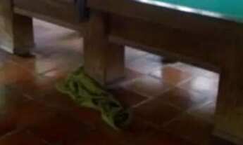 Imagem 3: Sítio para Natal e Ano Novo disponível