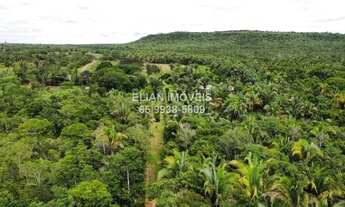 Imagem: Chácara Paradisíaca 7 Hectares, Rio Canjira