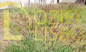 Imagem 2: LOTE 775m² NASCENTE COM 155 DE FRENTE 100%PLANO MURADO COM PORTÃO CONDOMÍNIO RUA 04 VICE