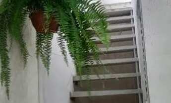 Imagem 3: Excelente localização, Rua sem saída