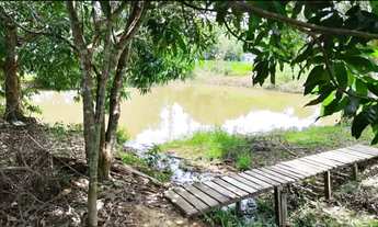 Imagem 4: Linda chácara a venda