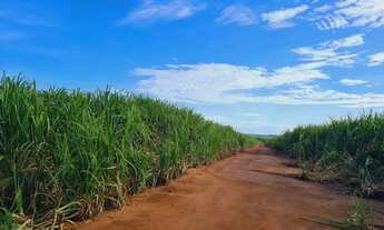Imagem 2: 51alqueires arrendamento 80 ton/alq , frente Washington Luís ( Catanduva