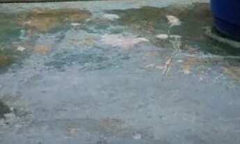 Imagem 5: Casa Casa com 2 dormitórios