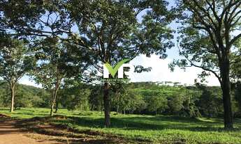 Imagem 7: Fazenda 64 alqueires em Marzagão