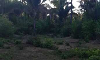 Imagem 2: Terreno para sitio