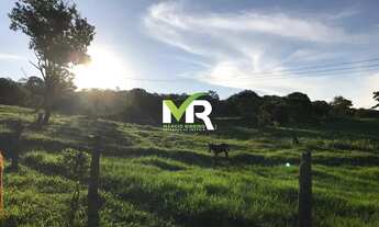 Imagem 2: Fazenda 64 alqueires em Marzagão