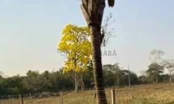 Imagem 4: Sítio de 29 Hectares na região do rio manso há 110 km da cidade Cuiabá sendo 8 k