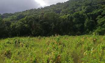 Imagem 5: Lotes de 500 a 1.000 m² à venda em Ibiúna-SP