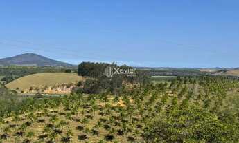 Imagem: Terreno com 7 alqueires à venda em Jabaquara