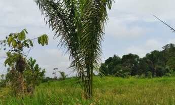 Imagem 4: Terra em Roraima
