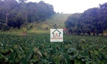 Imagem 2: Ótimo tereno em em Barra Alegre