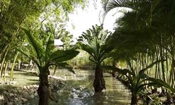 Imagem 3: Condomínio Pedra Verde Maricá - Lotes a partir de 965m² cercado de verde !