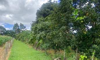 Imagem 2: Vendo chácara rodeador MCIMOVEIS