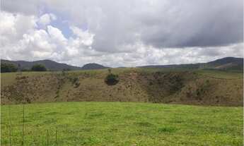 Imagem 4: VENDO ÓTIMA FAZENDA EM JOAQUIM GOMES