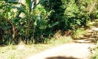 Imagem 4: Chácara à venda em Rolante de 3 hectares !!