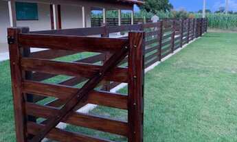 Imagem 6: Vende-se um espetáculo de fazenda de 501 Alqueires