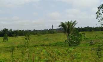 Imagem 3: Terra em Roraima