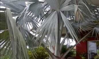 Imagem 5: EXCELENTE IMÓVEL FINO ACABAMENTO