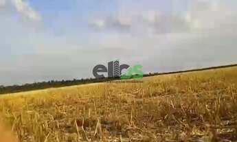 Imagem 3: Fazenda Dupla Aptidão - AGRICULTURA (LAVOURA/GRÃOS/SOJA) e PECUÁRIA, 1.400 hectares, à ven